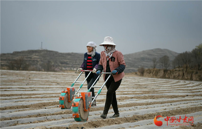 【甘肅省決戰(zhàn)決勝脫貧攻堅】蘭州榆中：加快農業(yè)產(chǎn)業(yè)轉型升級帶動群眾增收致富