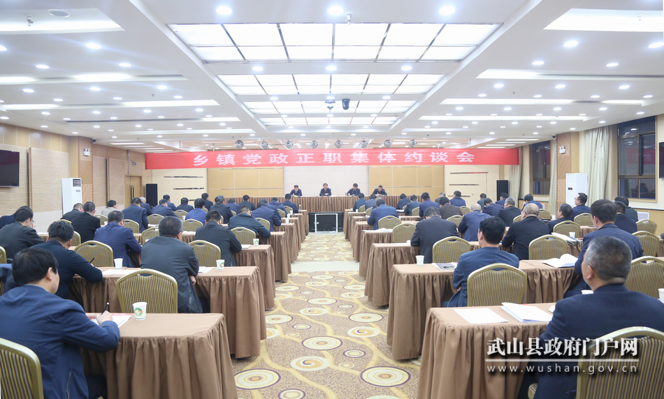 武山縣突出“快、細(xì)、實(shí)、嚴(yán)”全力推進(jìn)抓黨建促?zèng)Q戰(zhàn)決勝脫貧攻堅(jiān)問題排查清零