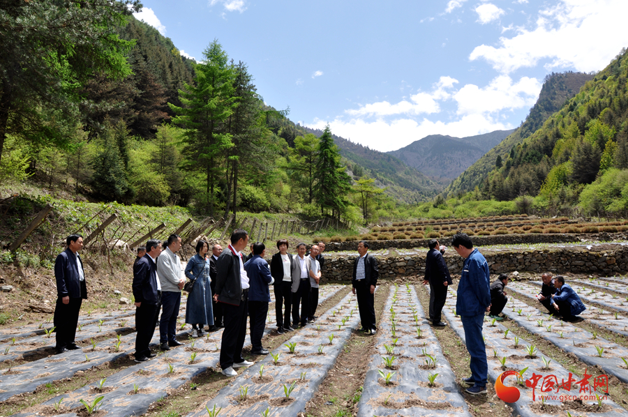 白龍江博峪河保護局開展產(chǎn)業(yè)發(fā)展、義務勞動成果現(xiàn)場觀摩交流活動