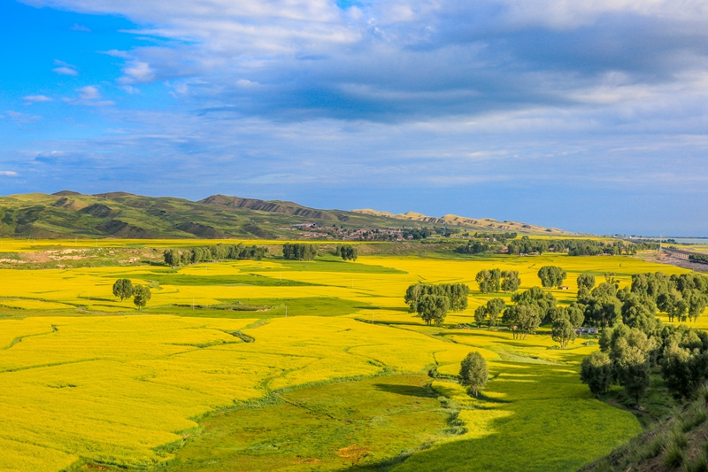 創(chuàng)意海報(bào)丨甘肅的美，你來(lái)了才知道