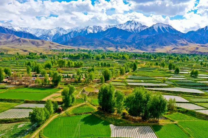 【飛閱甘肅】甘肅高臺：祁連山下田園美