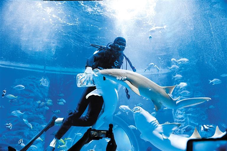 蘭州海洋公園 金昌火星1號基地 這個暑假我們“上天入?！?>
        </a><em>蘭州海洋公園 金昌火星1號基地 這個暑假我們“上天入海”</em></li>
    <li><a  target=