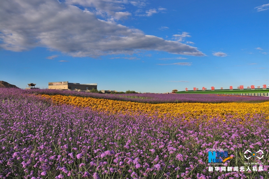 【“飛閱”中國】鳳凰花?！罢钩帷钡は伎?>
        </a><em>【“飛閱”中國】鳳凰花?！罢钩帷钡は伎?/em></li>
    <li><a  target=
