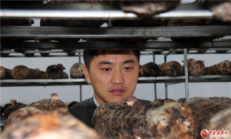 110年！何家溝村終于有了集體經(jīng)濟(jì)——中建二局黨建結(jié)對(duì)幫扶成效顯著