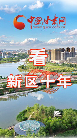 圖解|崛起！新區(qū)十年