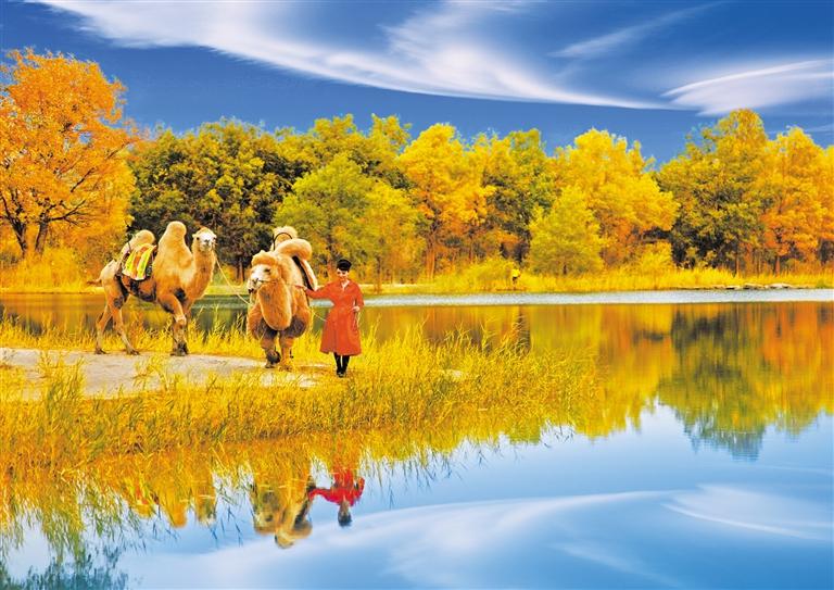 國(guó)慶長(zhǎng)假，去金塔遇見最美胡楊