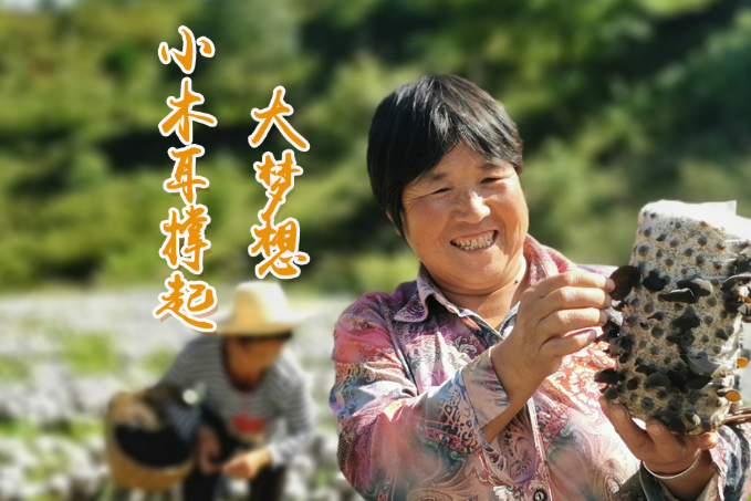 海報(bào)丨他們，乘“豐”破浪！