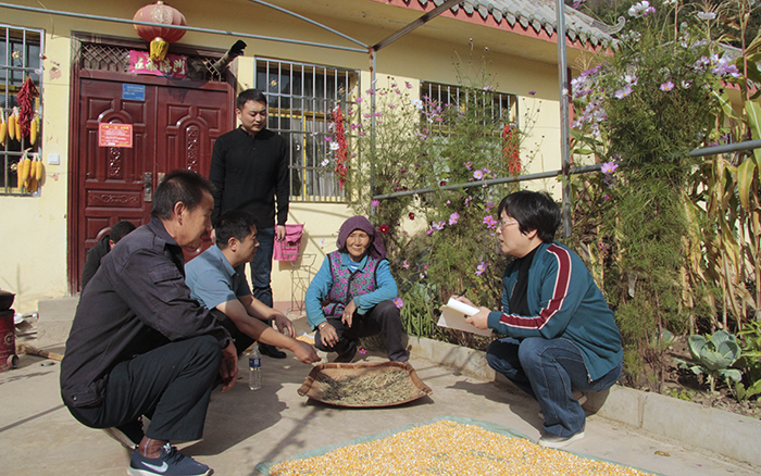 1600902807315258.jpg 145.jpg