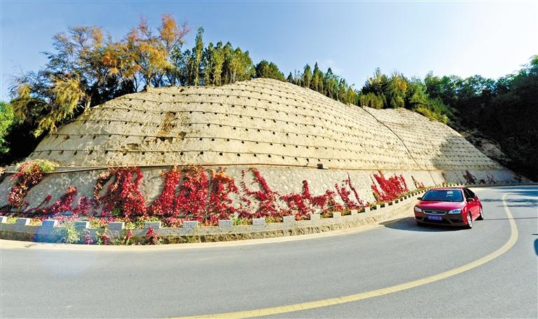 近90度陡坡上種樹(shù)！蘭州南北兩山綠化出新招