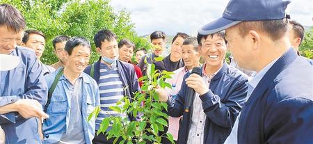 為脫貧攻堅(jiān)注入智動力——甘肅省縱深推進(jìn)人才助力脫貧攻堅(jiān)綜述