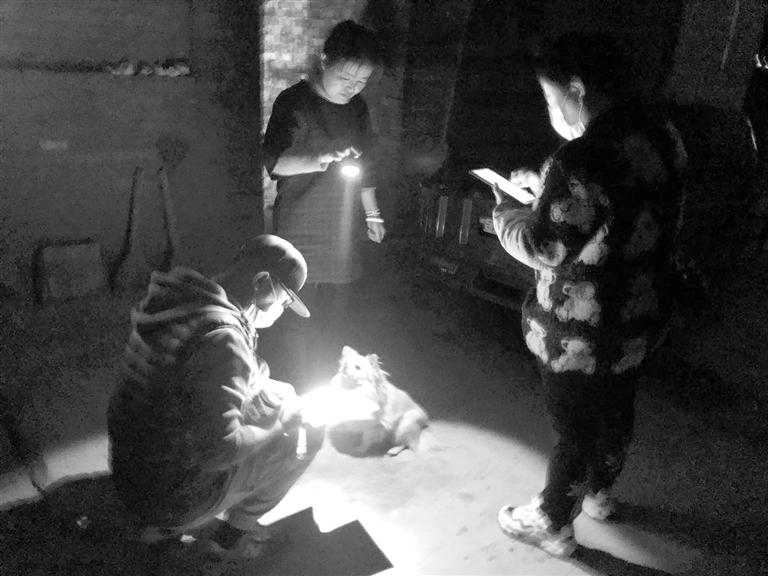 關(guān)注人口普查丨白天社區(qū)上班 晚上敲門(mén)入戶(hù)普查