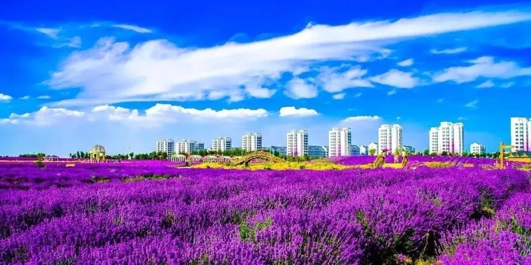 喜訊！金昌蟬聯(lián)全國文明城市