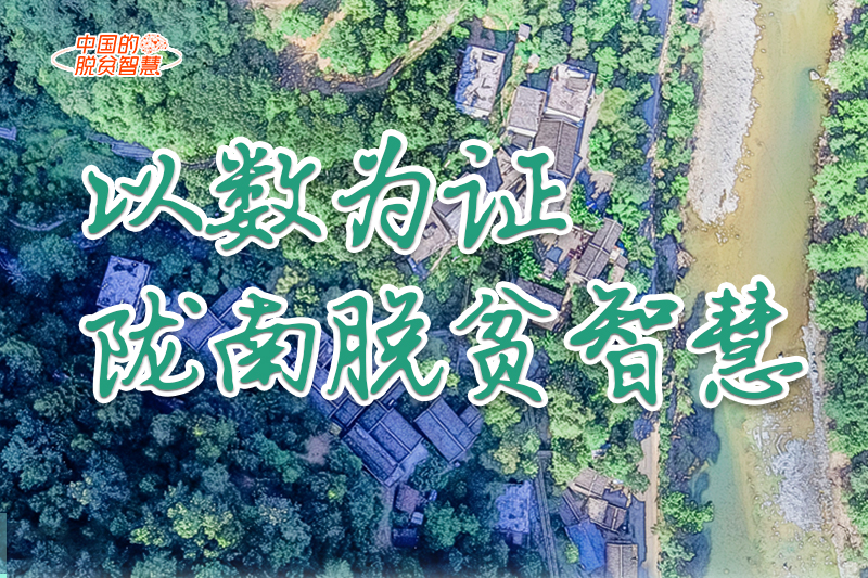 【中國(guó)的脫貧智慧】以數(shù)為證！隴南脫貧智慧來(lái)了！