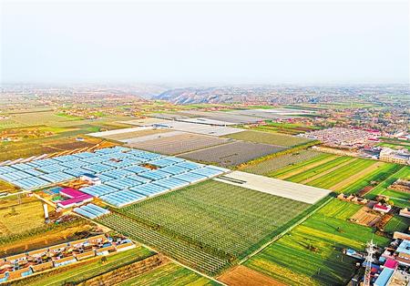 甘肅發(fā)展特色產(chǎn)業(yè)推動脫貧攻堅(jiān)銜接鄉(xiāng)村振興報道之二 新型主體龍頭帶動興產(chǎn)業(yè)