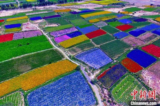 甘肅酒泉：除了天時地利，還有一“種”力