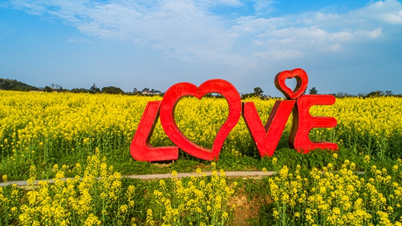 “l(fā)ove”創(chuàng)意拍照墻。廖濤 攝