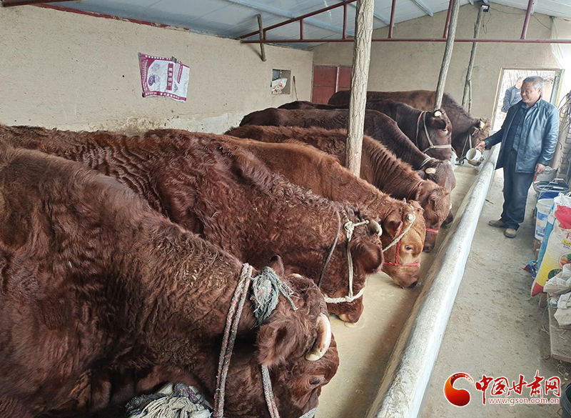 平?jīng)鰶艽ǎ骸芭！碑a(chǎn)業(yè)鋪就致富路