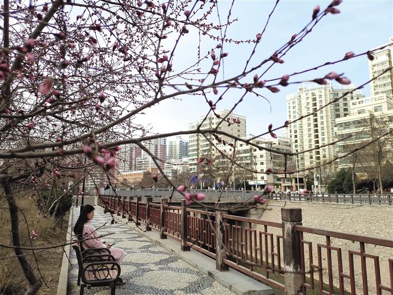 蘭州“第一朵花”開了！