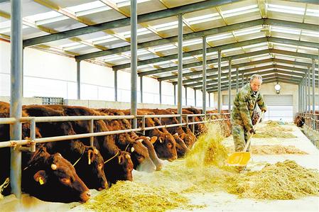 【鄉(xiāng)村·新視角】平?jīng)鲮o寧：黨建引領鄉(xiāng)村振興