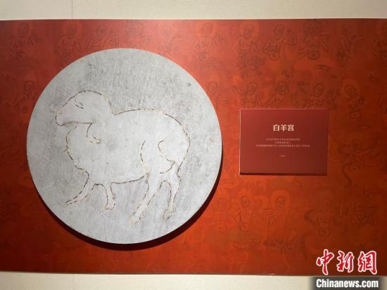 圖為展覽現(xiàn)場?！〗瓧顭?攝