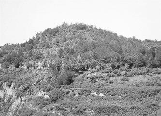 歷史眼丨張果老是正寧人？他與甘肅福緣不淺