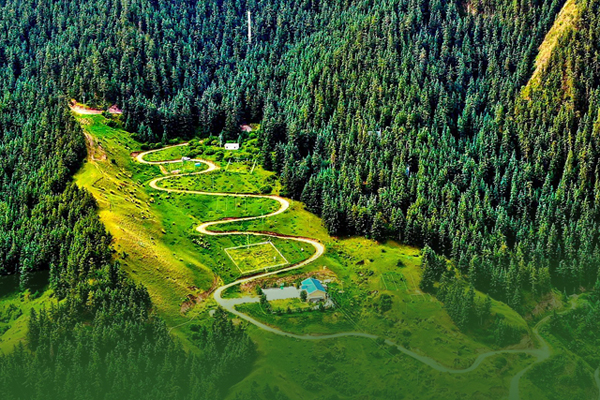 海報(bào)|祁連山保護(hù)區(qū)生態(tài)環(huán)境問題整改全面完成！