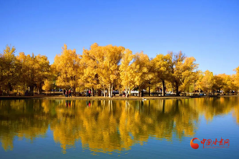 金塔：發(fā)展生態(tài)旅游 撬動“綠色經濟”