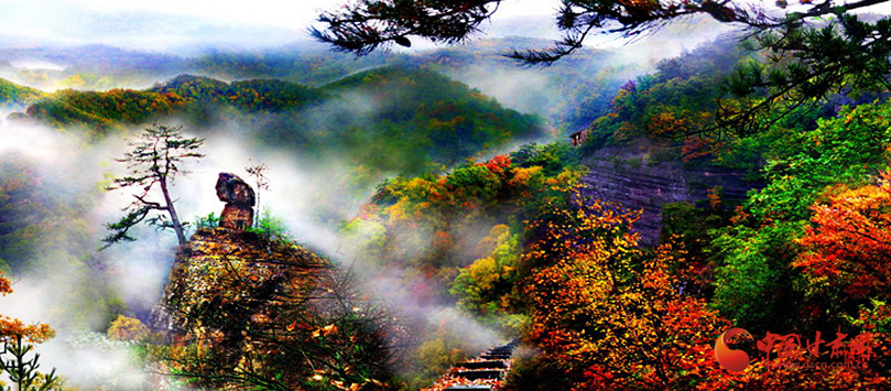 【甘快看】 華亭：碧水藍(lán)天綠中行 生態(tài)美景入畫來