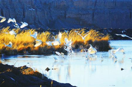 碧水清流潤酒泉 酒泉市強(qiáng)化河湖長制建設(shè)幸福河湖