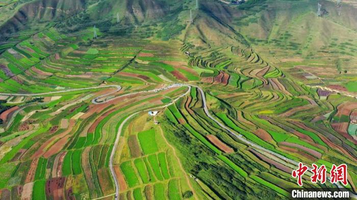 秋日里，榆中縣馬坡鄉(xiāng)千畝梯田，不同農(nóng)作物漸趨成熟，呈現(xiàn)出多種色彩，宛若大地的“調(diào)色盤(pán)”?！圆?攝