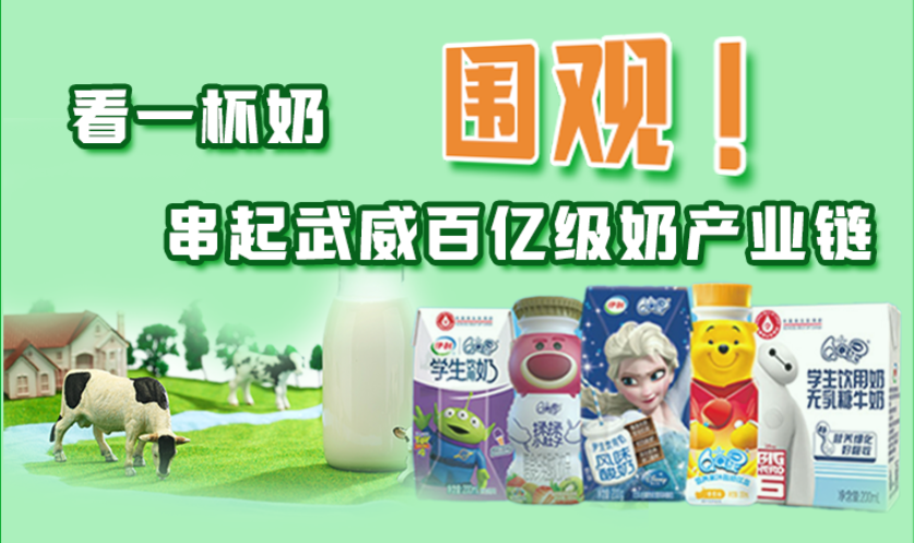 圖解|圍觀！看一杯奶串起武威百億級(jí)奶產(chǎn)業(yè)鏈