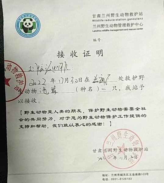 受到救助的池鷺被蘭州野生動物保護站接收。（蘭州市公安局七里河分局供圖）