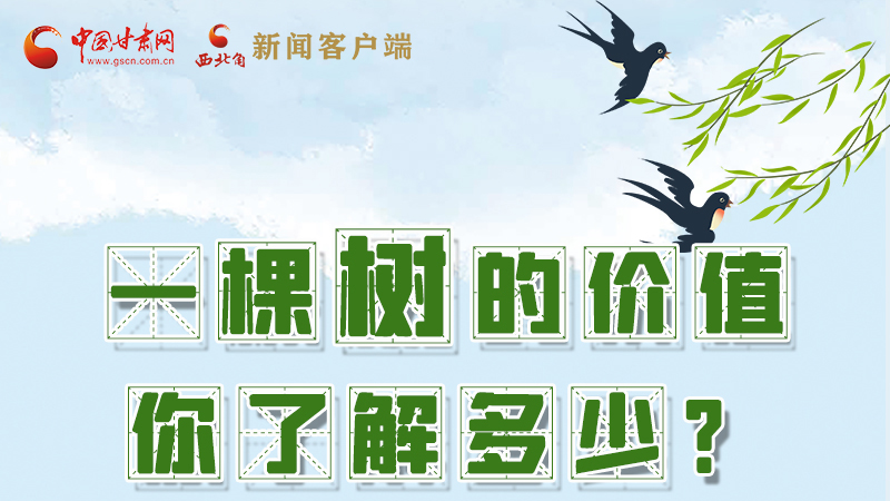 圖解|一棵樹的價值你了解多少?來看！