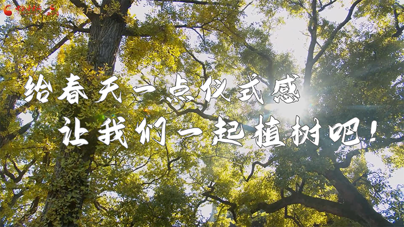 短視頻|給春天一點(diǎn)儀式感，讓我們一起植樹吧！
