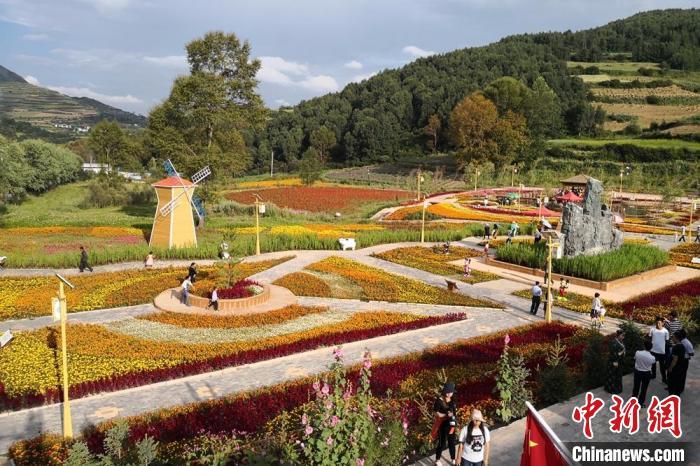 圖為航拍甘肅甘南臨潭縣八角鎮(zhèn)，花海吸引游人。(資料圖)高展 攝