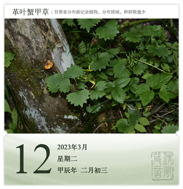 1710145839912775.png 箴歷日歷3-12.png