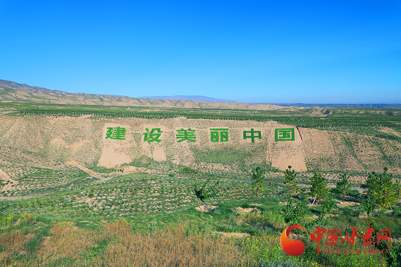 中國(guó)甘肅網(wǎng)走進(jìn)武威涼州區(qū) 植綠南山共建生態(tài)家園