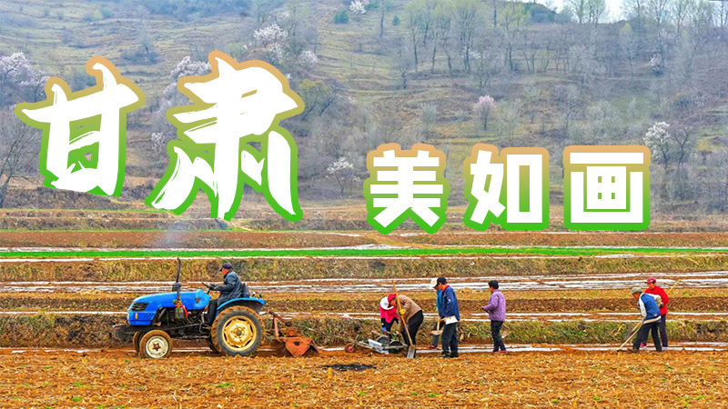 微海報(bào)|甘肅，美如畫