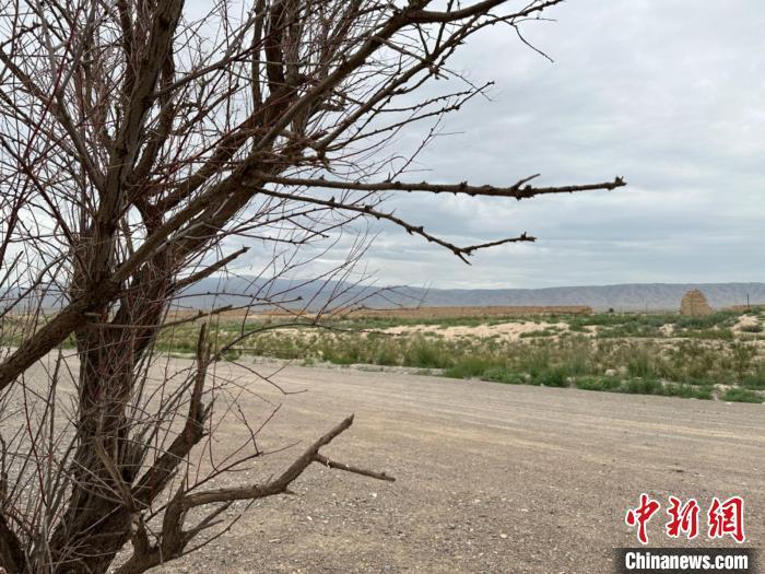 圖為位于長城墻體上的“馬面”或“敵臺”?！〈魑牟?攝