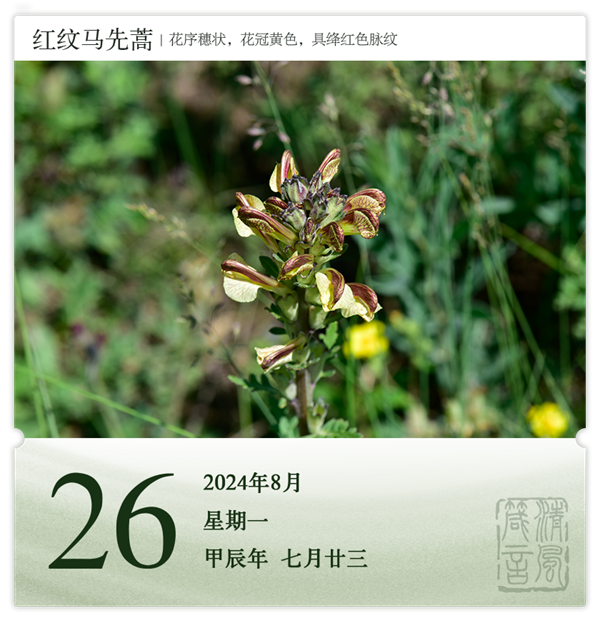 1722582198231778.png 箴歷日歷8-26.png