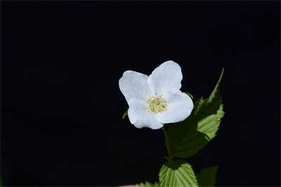 1737514422621332.jpg 21-01.jpg