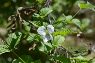 1737514455902682.jpg 21-02.jpg