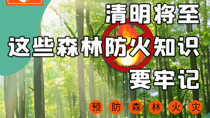 【甘快看】圖解|緊繃“安全弦”！清明，這些森林防火知識(shí)要牢記