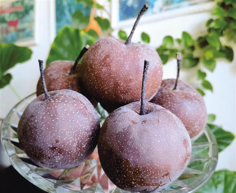 皋蘭“四珍”榮登“國(guó)字號(hào)”