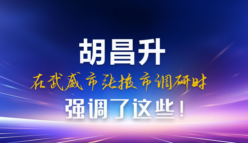 圖解|胡昌升在武威市張掖市調(diào)研時強(qiáng)調(diào)這些！