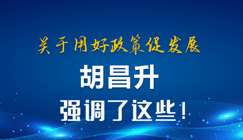 圖解|關(guān)于用好政策促發(fā)展 胡昌升強(qiáng)調(diào)了這些！