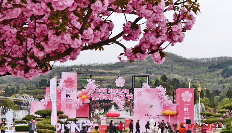 “櫻”你而美，共赴金徽春日之約